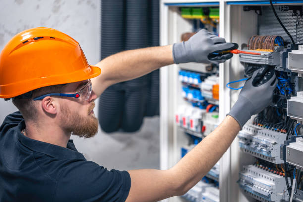 Best Electric Panel Repair  in Montrose, CO